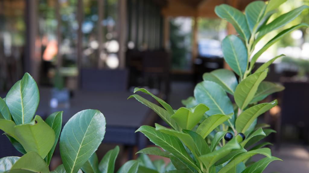 Hotel Badhof Altstatten Bilik gambar